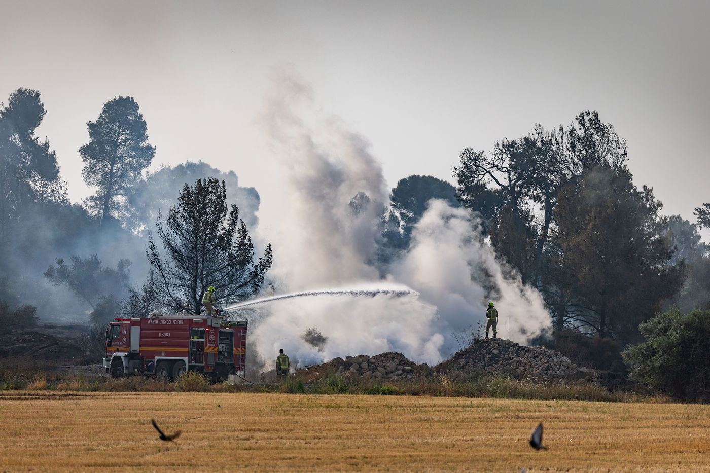 השריפה בהרי ירושלים