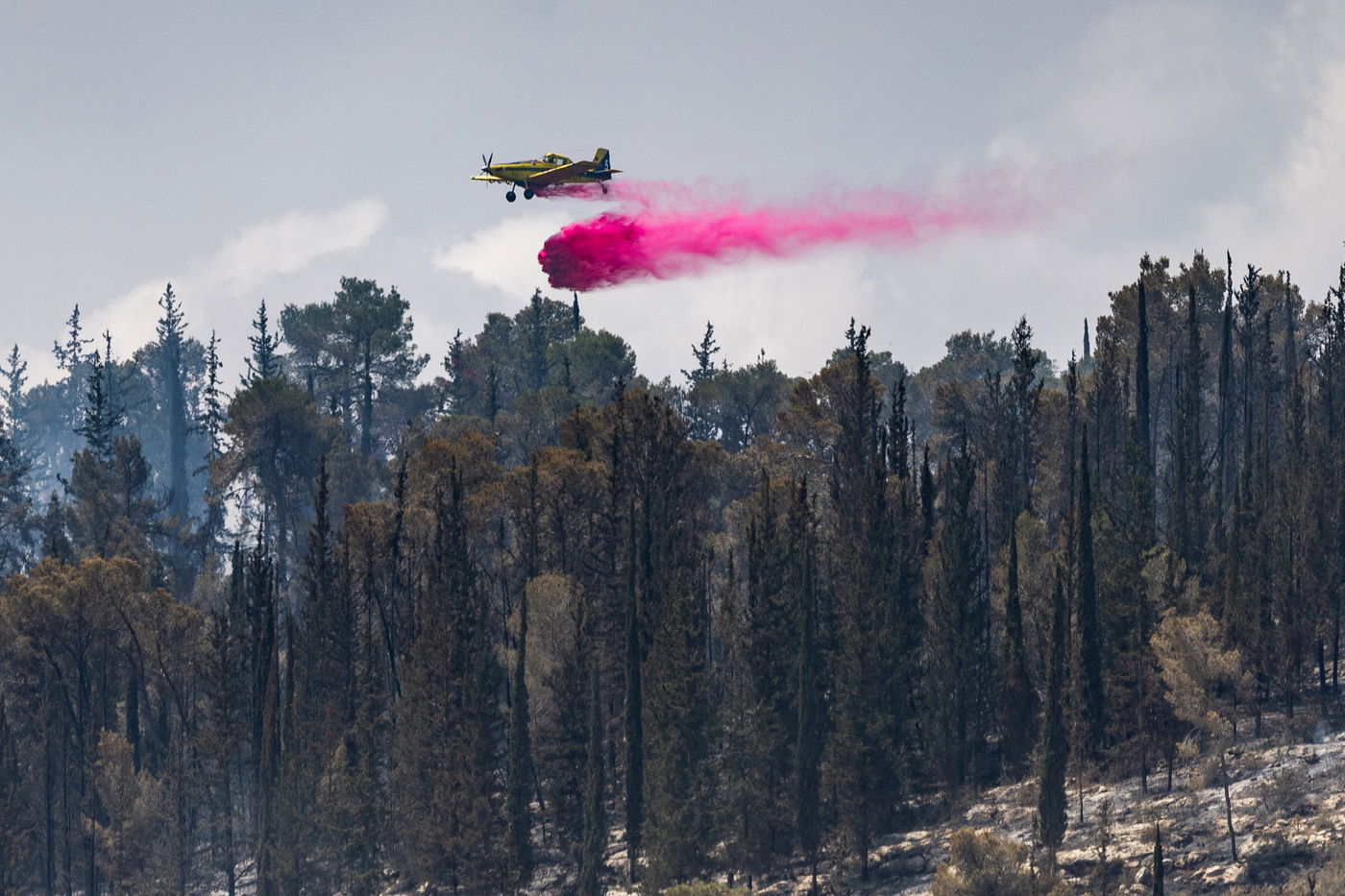השריפה בהרי ירושלים