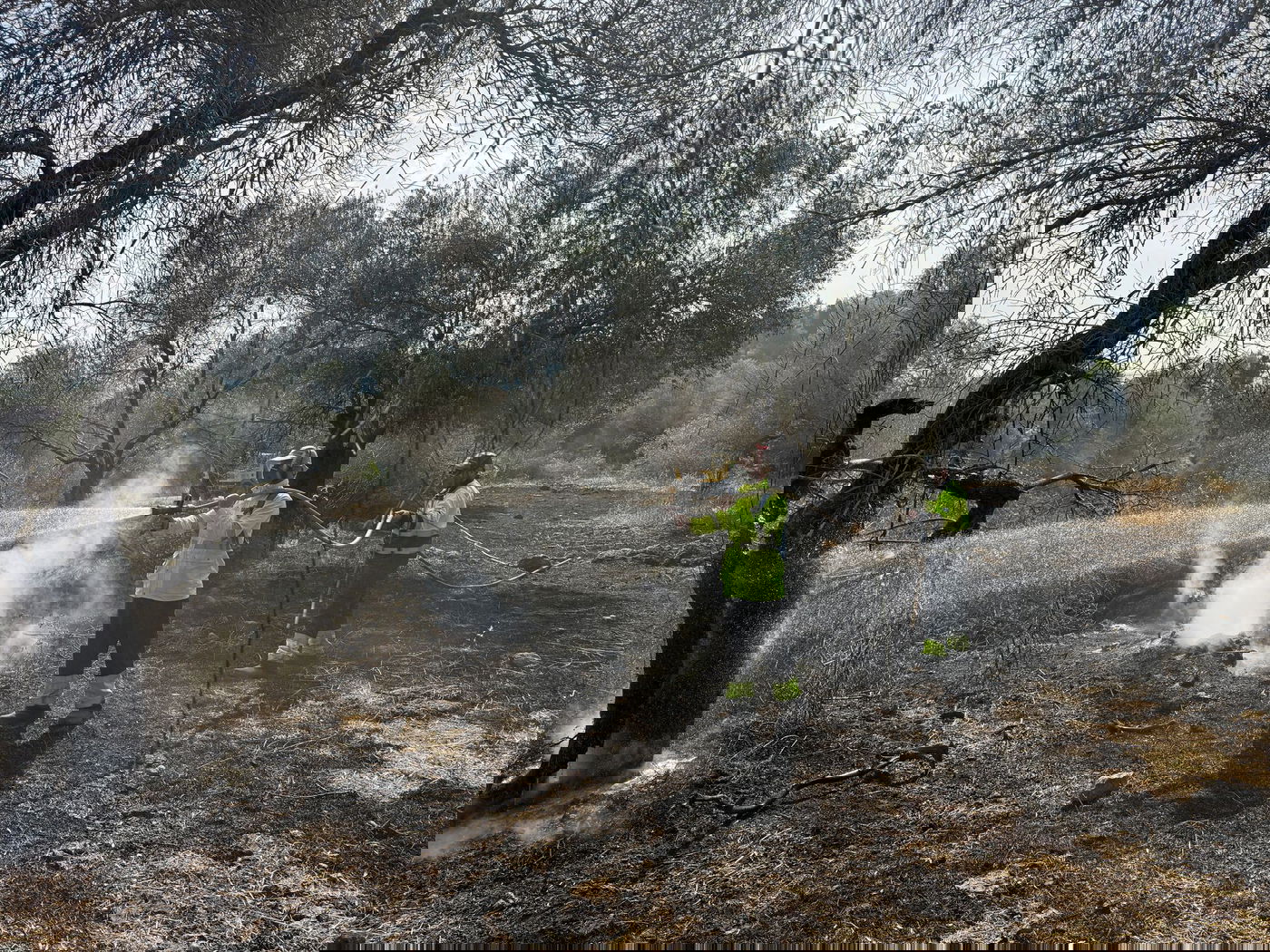 הרי ירושלים: תמונות וסרטונים קשים ביום שאחרי השריפה