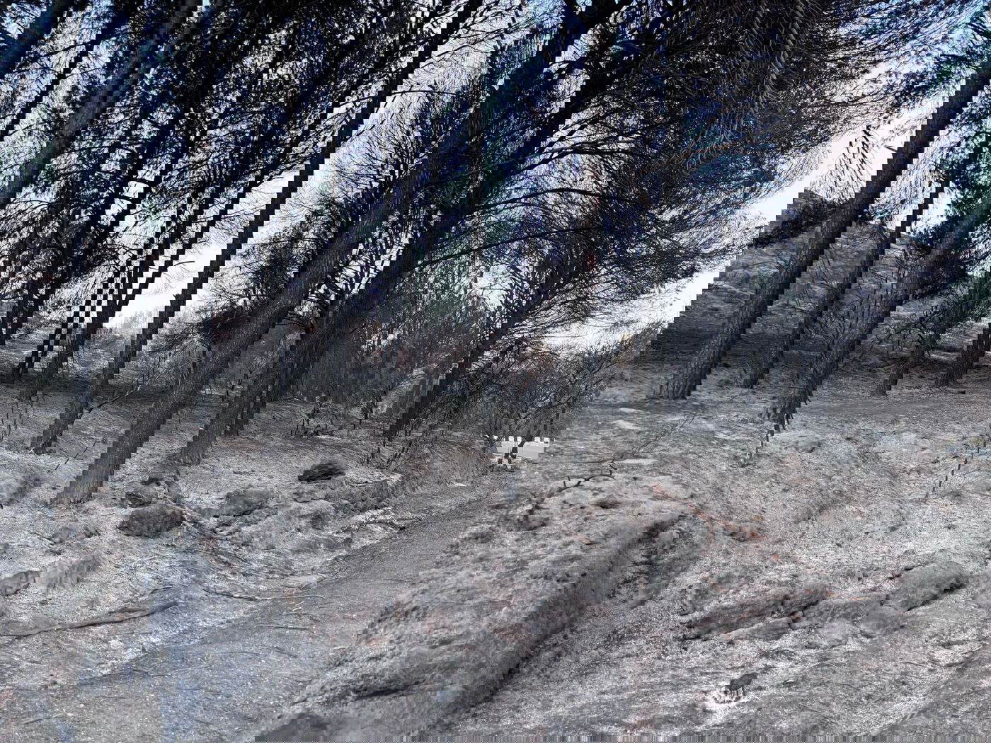 הרי ירושלים: תמונות וסרטונים קשים ביום שאחרי השריפה