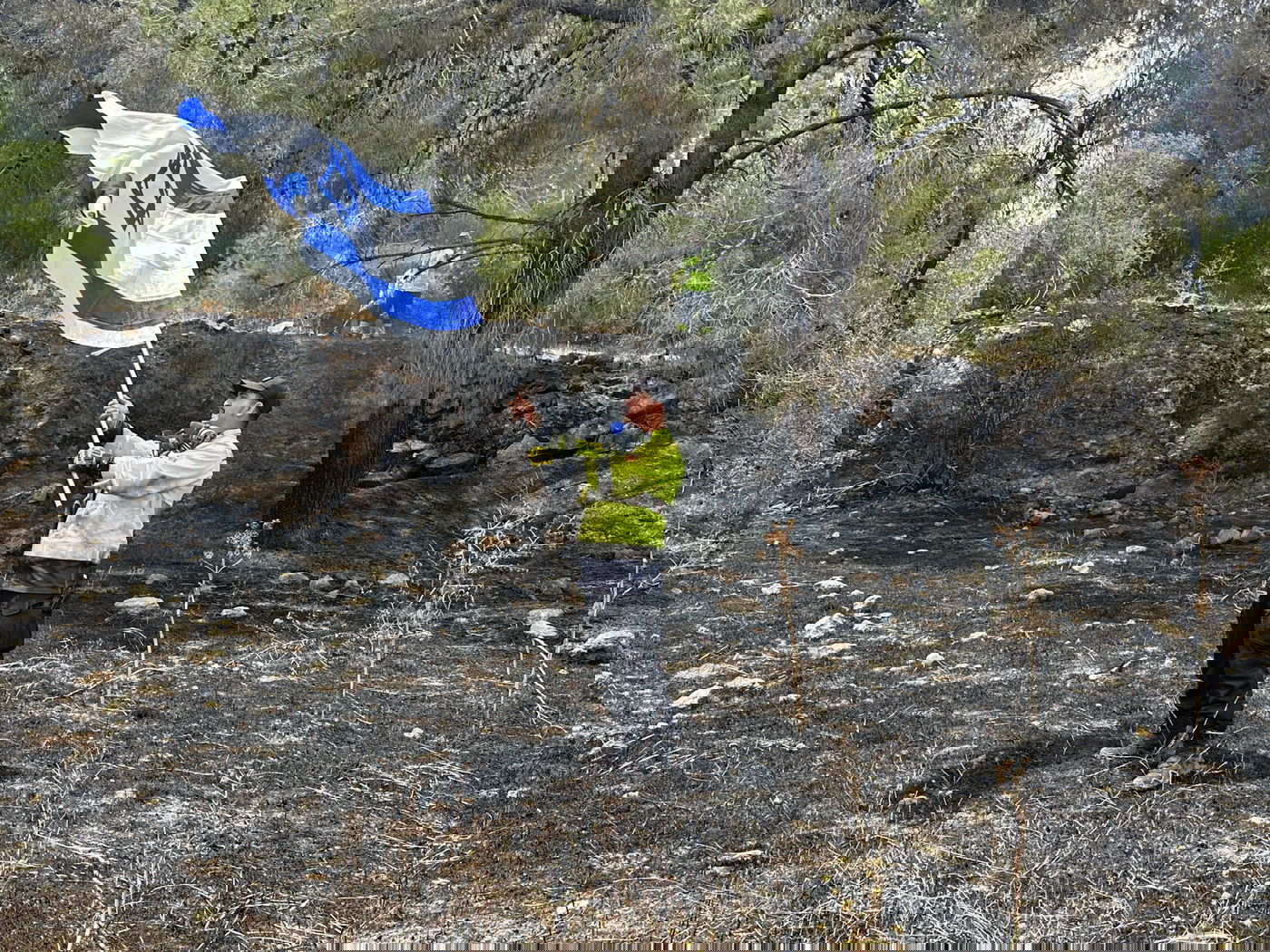 הרי ירושלים: תמונות וסרטונים קשים ביום שאחרי השריפה