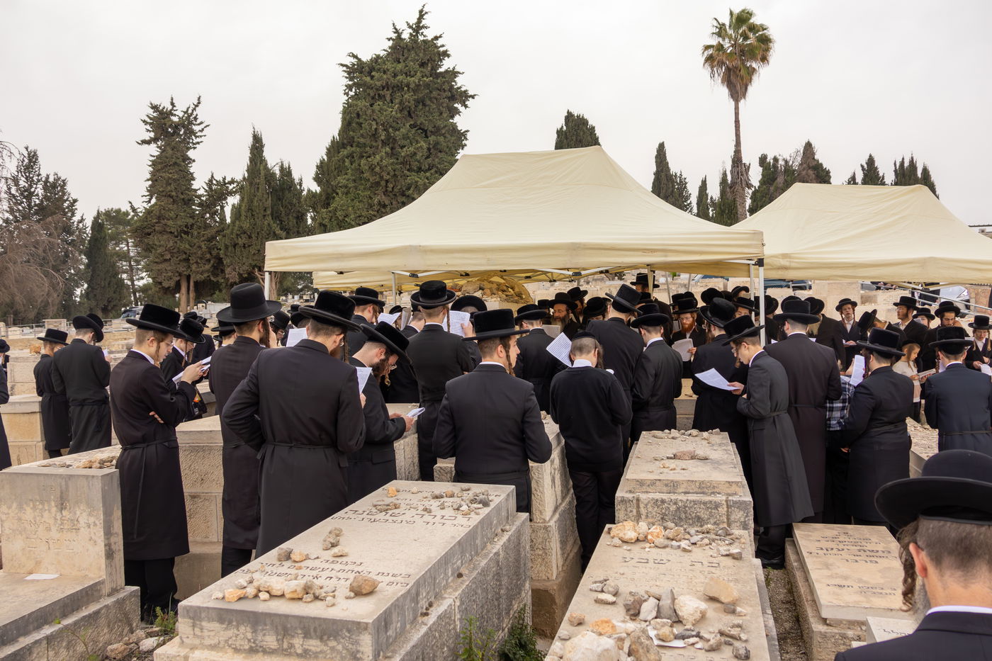 האדמו"ר מפינסק קרלין בעליה לציון אביו זצ"ל