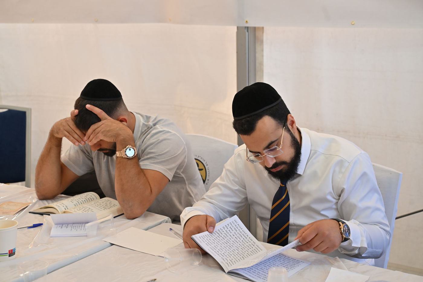  מראות הילולת הרה"ק רבי ישעל'ע מקרעסטיר - תשפ"ה 