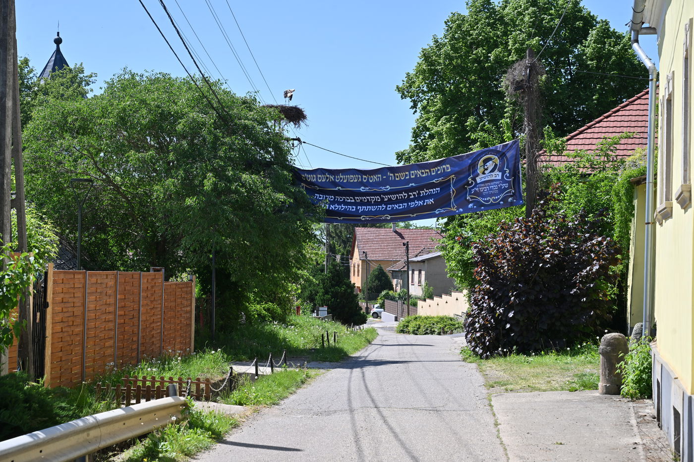  מראות הילולת הרה"ק רבי ישעל'ע מקרעסטיר - תשפ"ה 