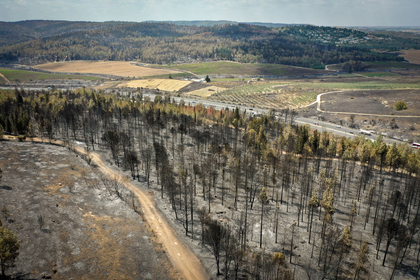 פארק קנדה לאחר השריפה