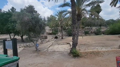 תיעוד עצוב: ביקור בפארק קנדה אחרי השריפה הגדולה