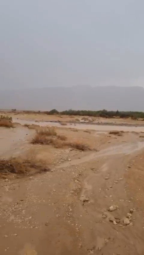 פעילות כוחות כבאות והצלה 