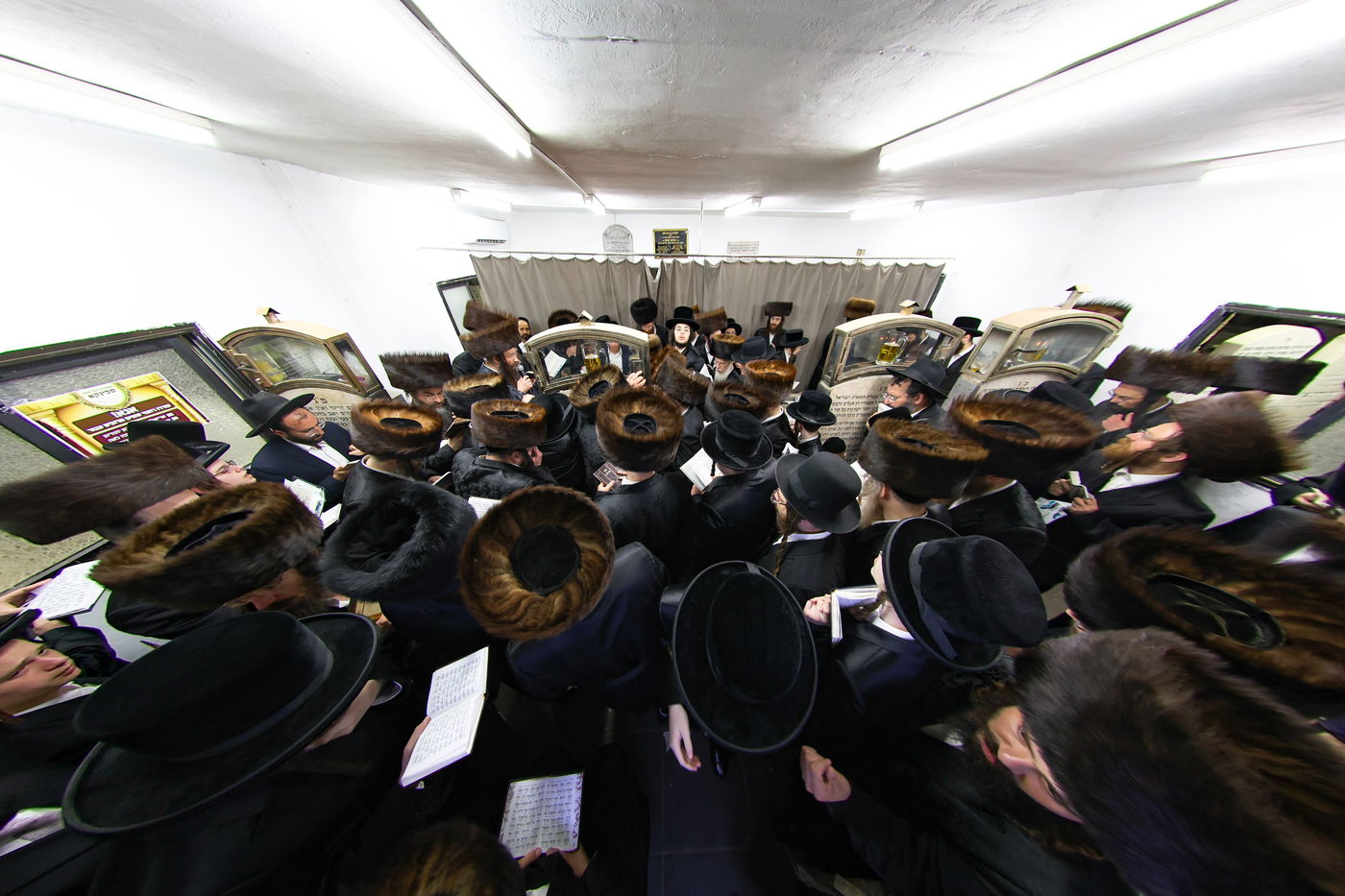 הילולת בעל ה'אמרי יוסף' מספינקא זי"ע
