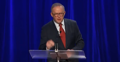 אנתוני אלבניזי