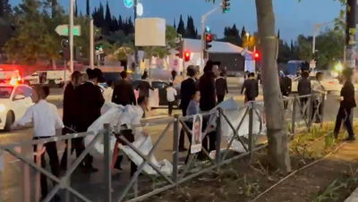 תלישת השילוט של חללי צה"ל