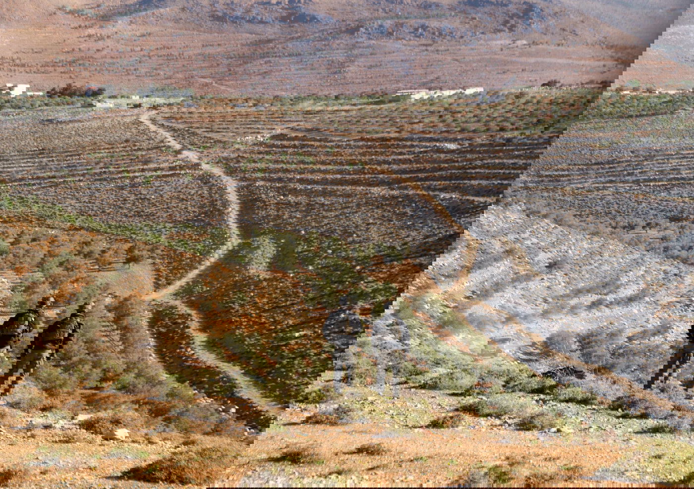 פעילות כוחות חטיבת ׳ההרים׳ (810) בסוריה