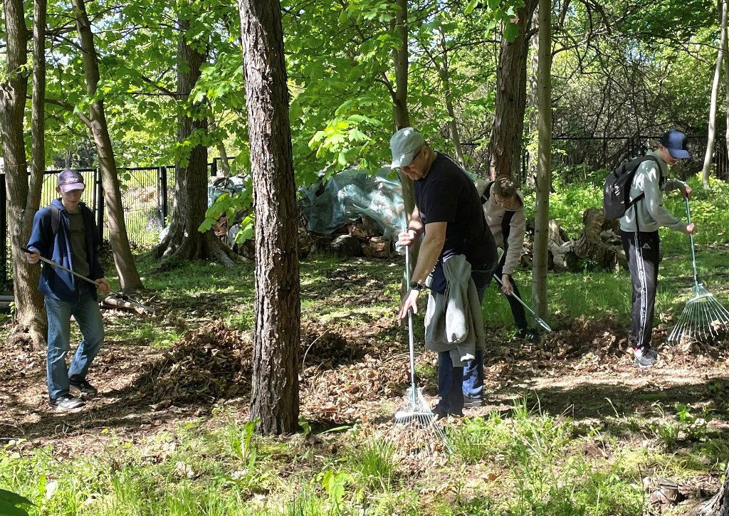 מבצע החזרת המצבות האבודות לבית הקברות היהודי בפשיסחה