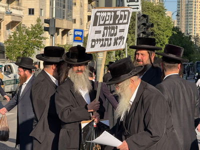 הפגנת 'הרצ"פניקים'