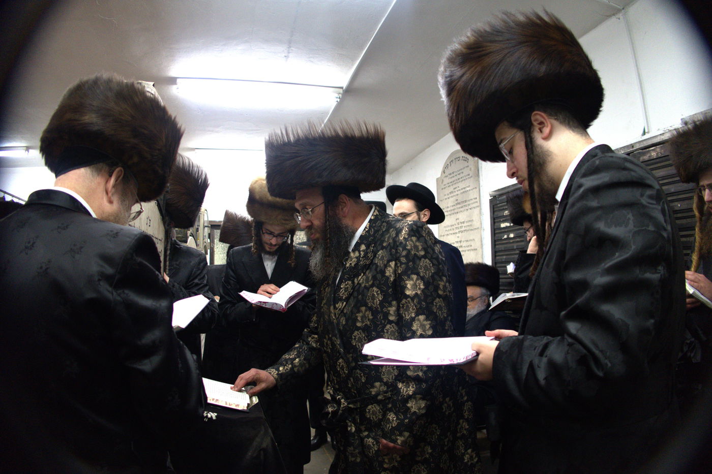 הילולא קדישא בספינקא רמת אהרן