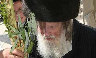 רבי זונדל קוריזר זצ"ל 