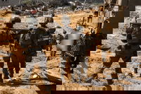 האם תושג הפסקת אש? פעילות הלוחמים ברפיח