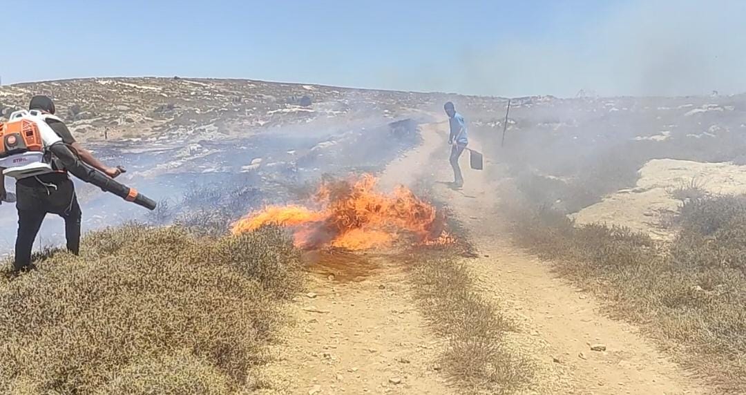 הציוד שחולק