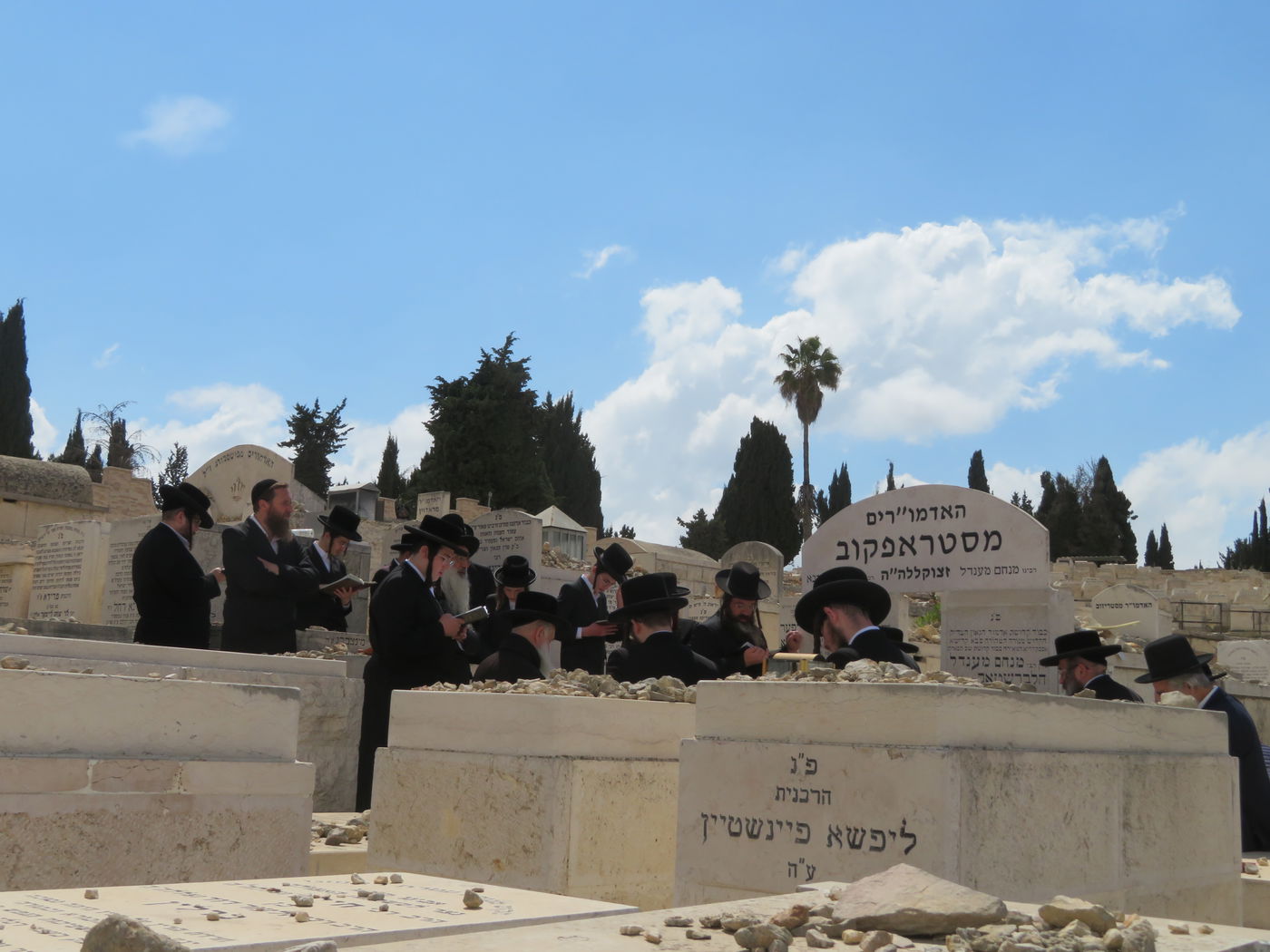 הילולא קדישא בחצה"ק סטרופקוב