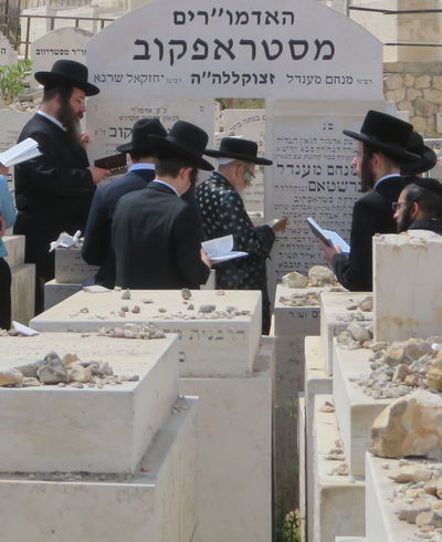 הילולא קדישא בחצה"ק סטרופקוב