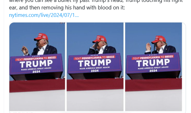 סדרת התמונות של מילס