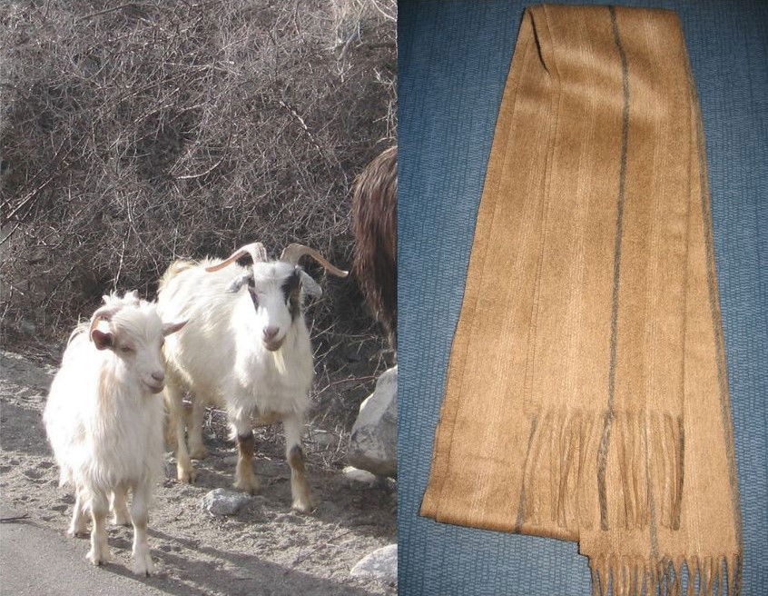 מימין - צעיף בצבע קשמיר | משמאל - איילי קשמיר