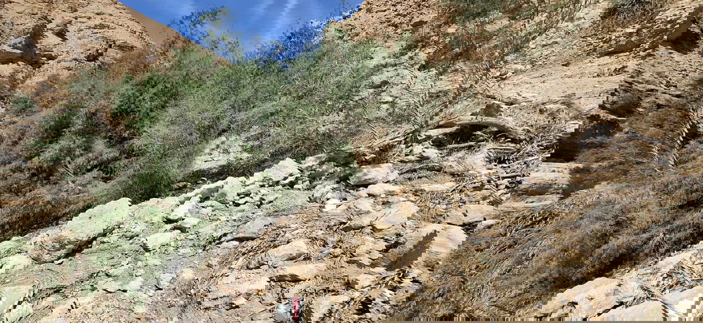 יעלים ושבילים שנהרסו מהסחף בנחל ערוגות