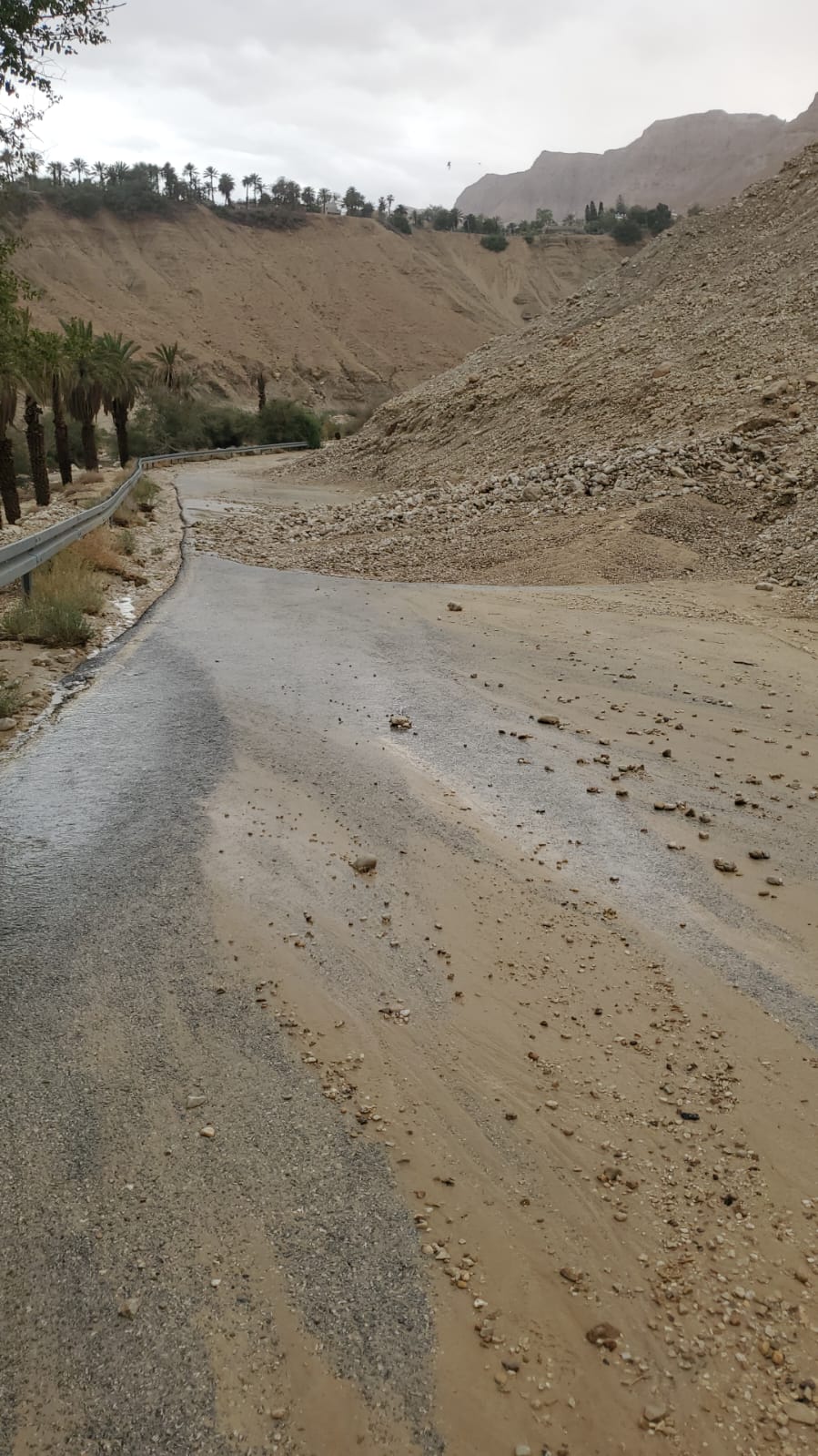 סחף בכניסה לשמורת הטבע עין גדי