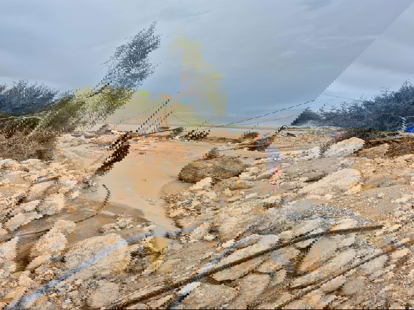 שמורת הטבע עין גדי