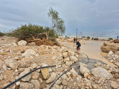 שמורת הטבע עין גדי