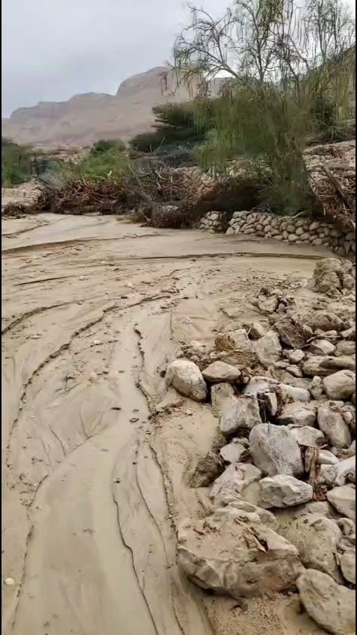 שיטפון עין גדי