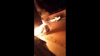 זירת החיסול בצידון