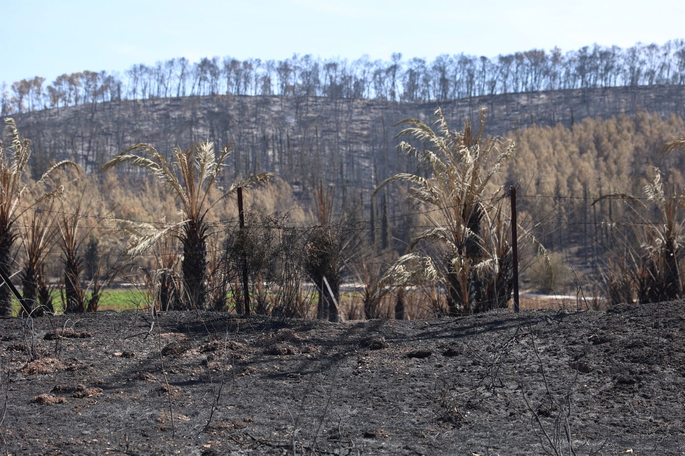 מראות ההרס מהשריפה באיזור ירושלים