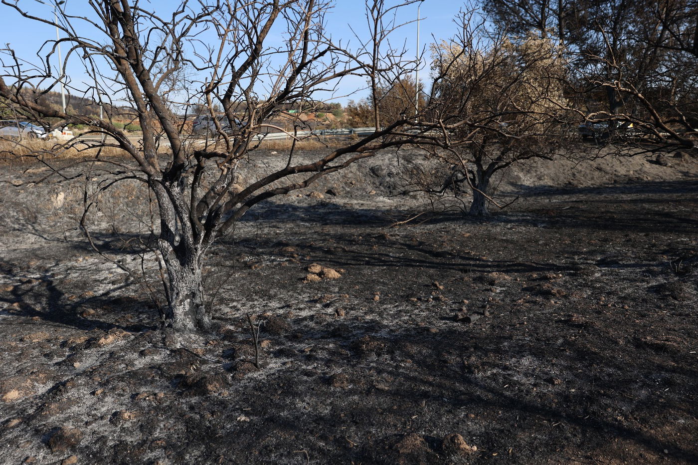 מראות ההרס מהשריפה באיזור ירושלים