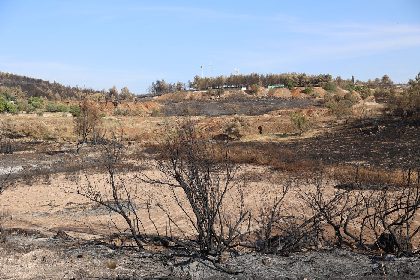 מראות ההרס מהשריפה באיזור ירושלים