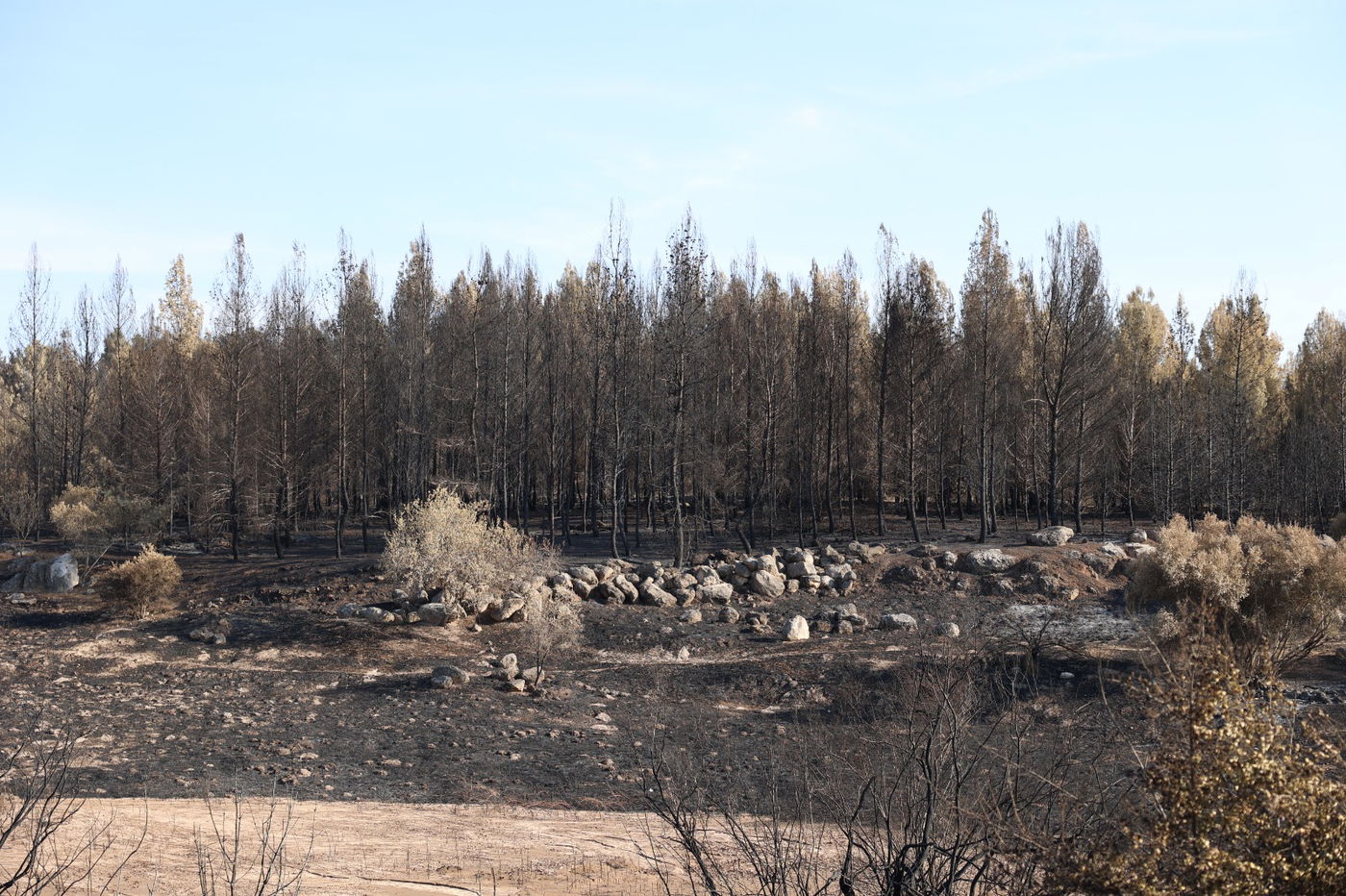 מראות ההרס מהשריפה באיזור ירושלים