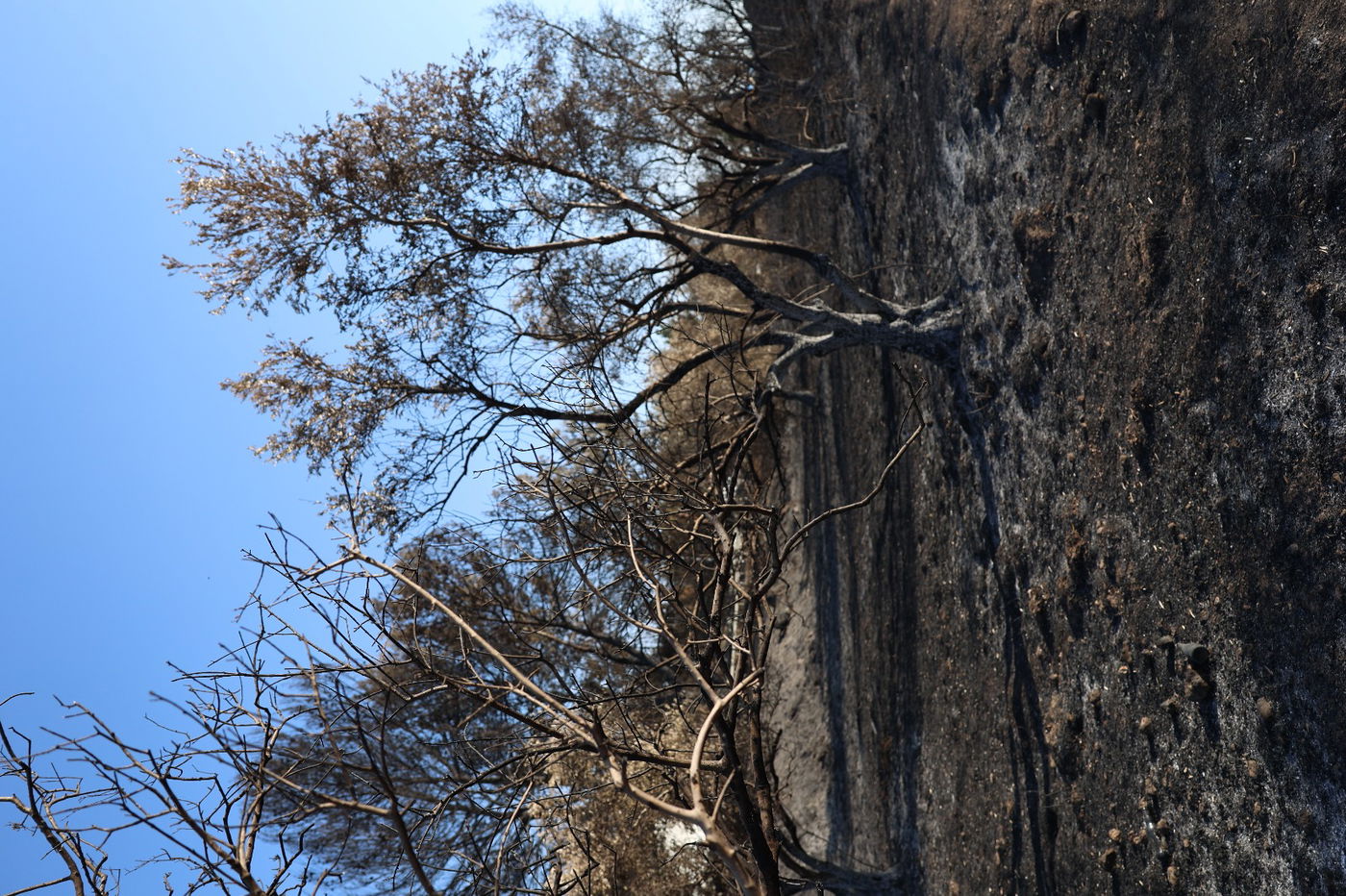 מראות ההרס מהשריפה באיזור ירושלים