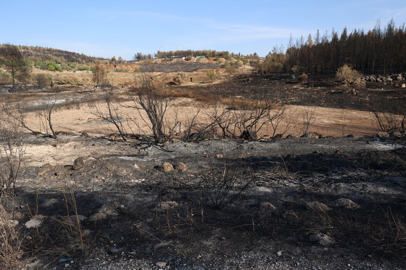 מראות ההרס מהשריפה באיזור ירושלים