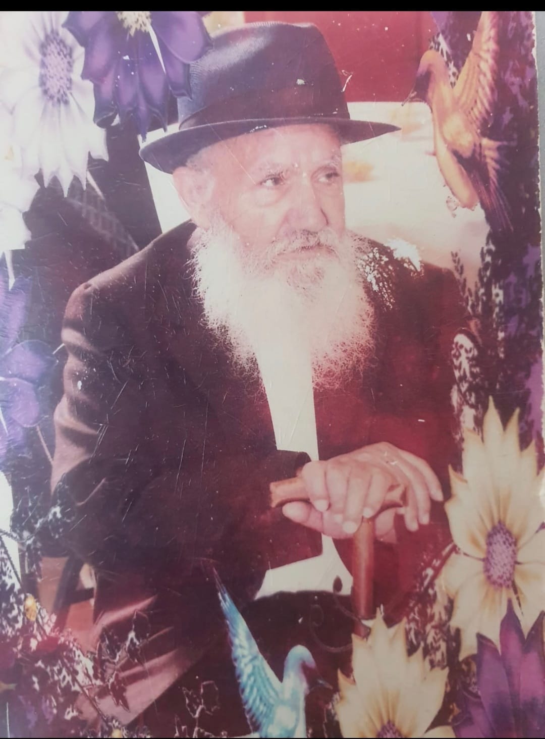 הרב דוד צבי ז"ל