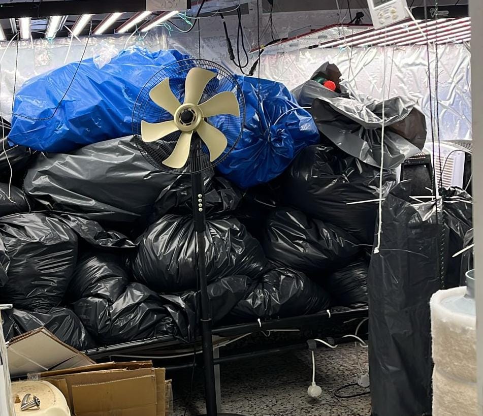 חלק מהסמים שנמצאו