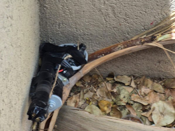 המטען שנמצא