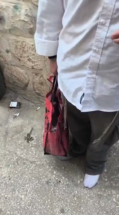 מנסים להכניס את הגדי להר