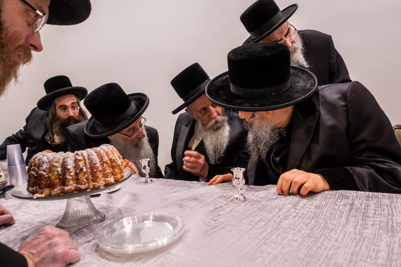 שמחת האירוסין לנכדת האדמו"ר מבאבוב - 45