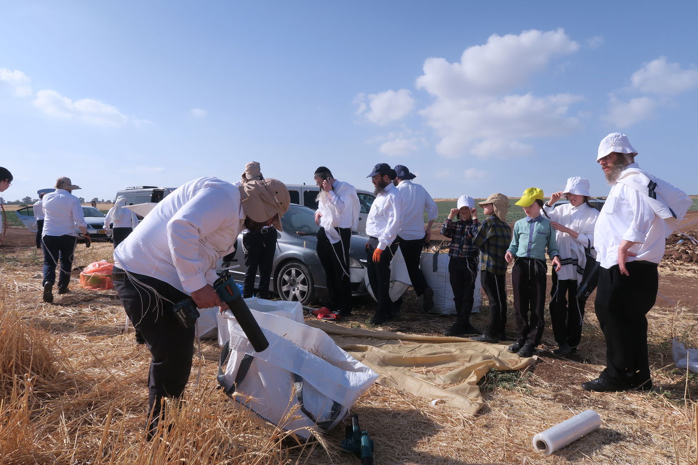 קצירת חיטים לחג הפסח תשפ''ו