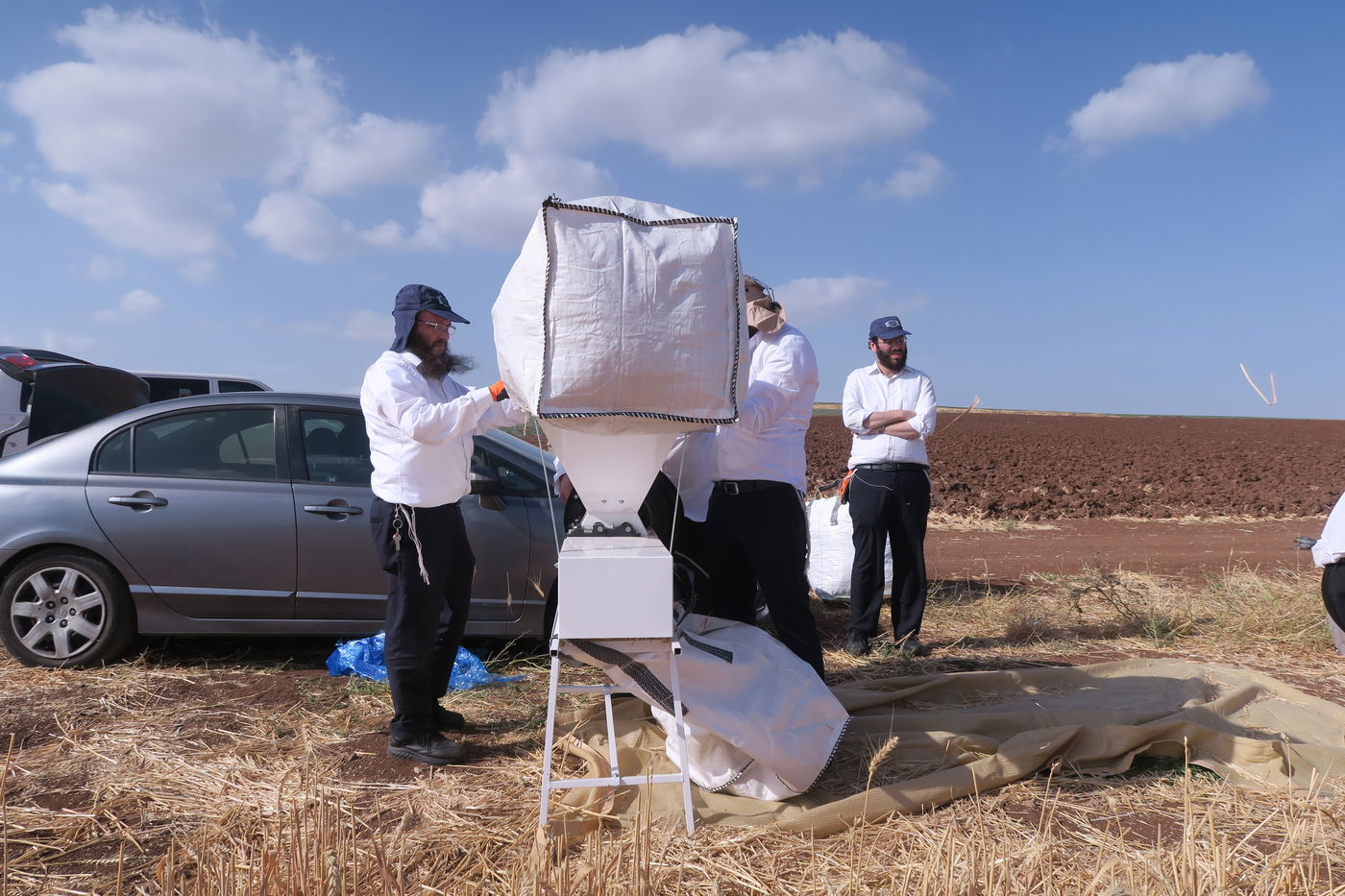 קצירת חיטים לחג הפסח תשפ''ו