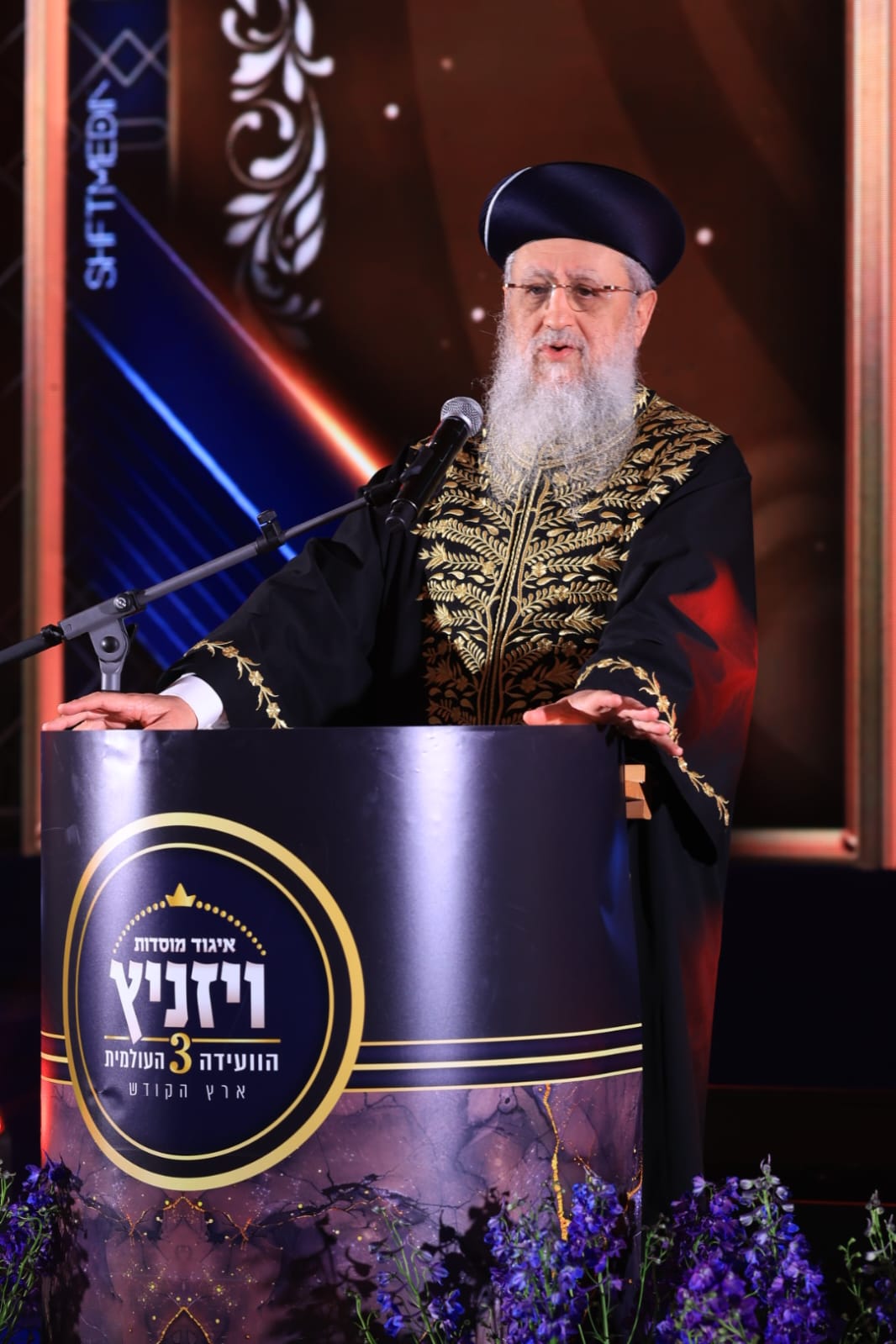 ועידת איגוד מוסדות ויז'ניץ