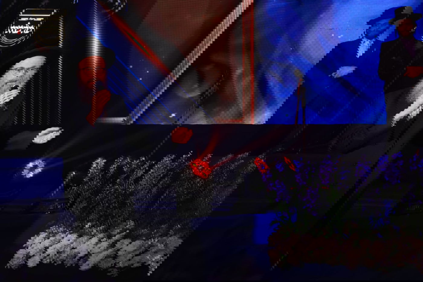 ועידת איגוד מוסדות ויז'ניץ