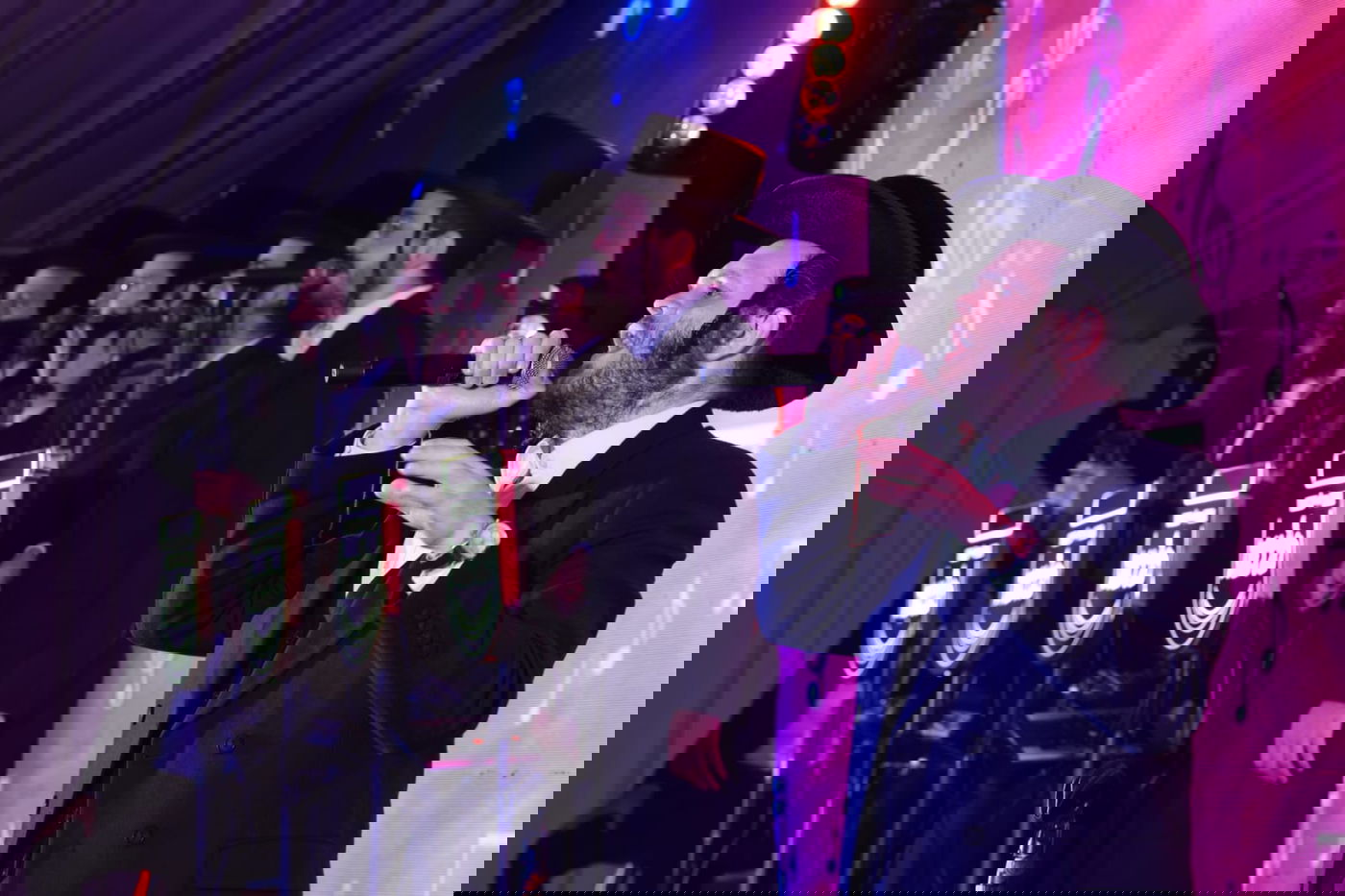 ועידת איגוד מוסדות ויז'ניץ