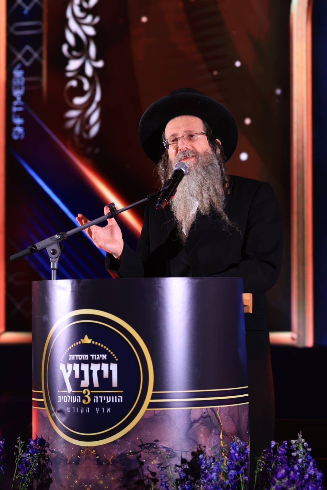 ועידת איגוד מוסדות ויז'ניץ