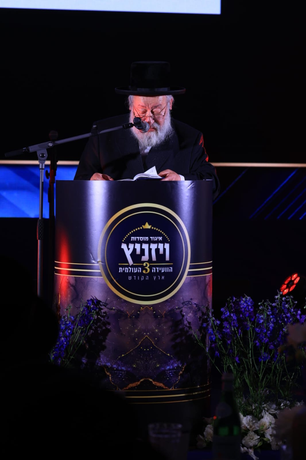 ועידת איגוד מוסדות ויז'ניץ