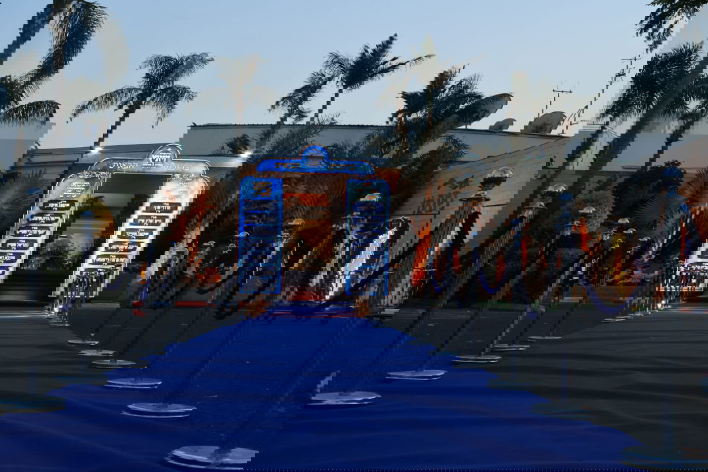 ועידת איגוד מוסדות ויז'ניץ